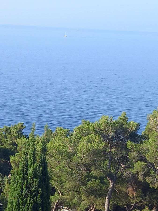 Berti * Sveta Nedelja (Hvar)